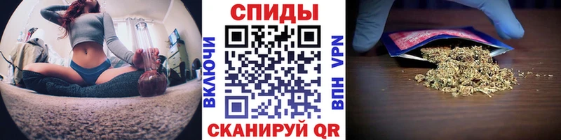 Бутират бутик блэк спрут зеркало Кимовск
