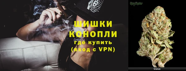 МДПВ Новозыбков
