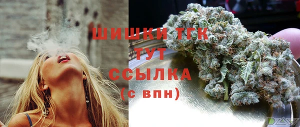 МДПВ Новозыбков