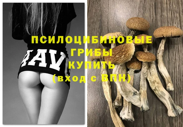 меф Нефтегорск