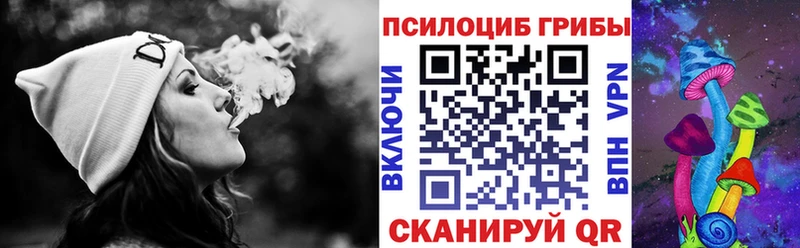 дарнет шоп  Кимовск  Псилоцибиновые грибы GOLDEN TEACHER 