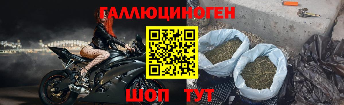 цена   Вход с VPN  Кимовск  Псилоцибиновые грибы Psilocybine cubensis 